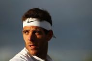 Juan Martin Del Potro.jpg